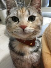 髪型製作所&nbsp;シジミ Ｔ