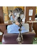 成人式前撮り