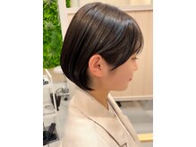 シダ(sida)