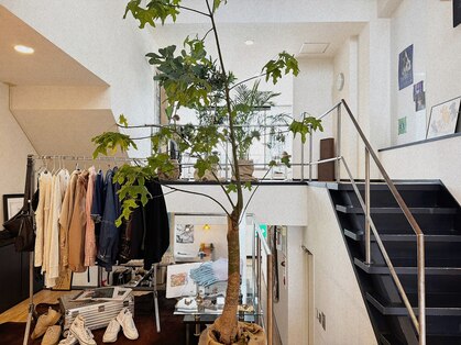 ネム(NE≡M)の写真