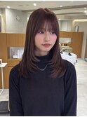 ミディアムレイヤー