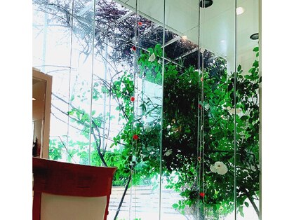 ビューティフルガーデンズ(Beautiful Gardens)の写真