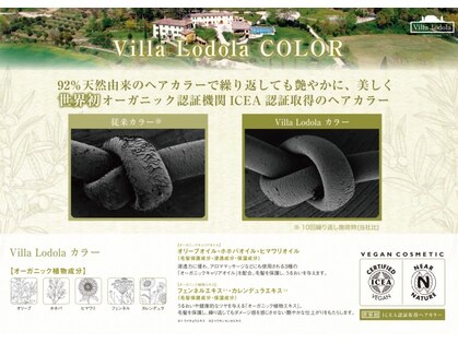 ザナドゥー 上野店(Xanadu)の写真