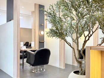 ソアラバイコットン(Soara by Cotton)の写真/個室or半個室のプライベート空間にてマンツーマンで施術!