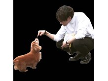 ノエル(Noel)の雰囲気（ノエル♪ミニチュアダックスです(^ ^)）