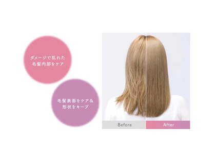 ラフ(LAUGH)の写真