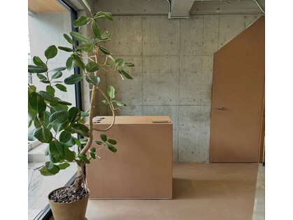 ソワ オモテサンドウ(SOIE OMOTESANDO)の写真