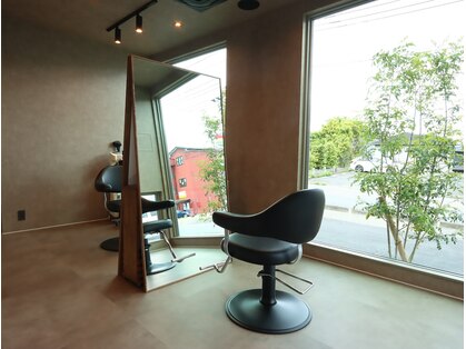 ナイロン(NyLon)の写真