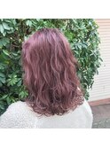 ピンクラベンダー