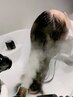 【話題のスパ】カット+シャンプースパ　