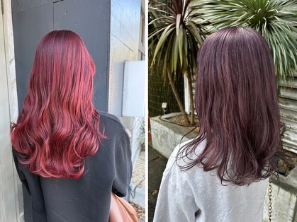 ロゴス 天王台北口店(LOGOS)の写真