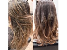 カメリア(Camelia)