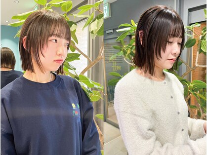 ノエ トトン(noe tton)の写真
