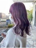 ピンクラベンダー