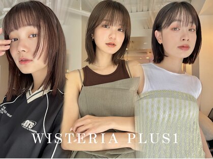 ウィステリアプラスワン 銀座一丁目(WISTERIA PLUS1)の写真