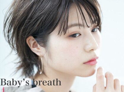 ベイビーズブレス(Baby's breath)の写真
