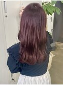 ピンクラベンダー