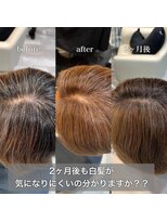 ステラバイケンジ 藤沢(STELLA by KENJE)&nbsp;白髪ぼかし細めハイライト30代40代50代グレージュ