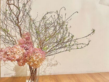 レスタ(ReSTA.)の写真