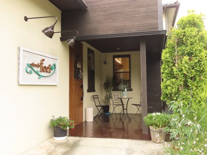 サロン ドゥ フィール(Salon du feel)の写真