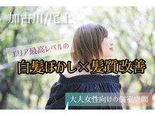 オーバーチュア(Overture)