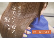もう髪悩みで諦めない。極上のツヤと貴方らしさを引き出すRAPPORTの美髪メソッド｜蟹江