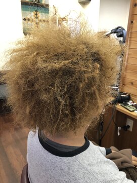 ニサブラ(Nisa Bula) ダメージレスアフロ