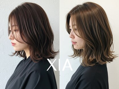 シア(XIA)の写真
