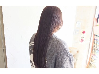 ブルーム(bloom)の写真