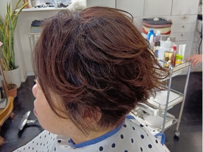 カットハウスマイケル(CUT HOUSE MICHAEL)の写真