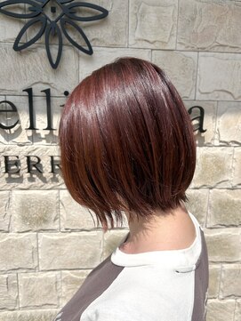 カぺリベラ テラス Capelli bella TERRACE チェリーブラウン