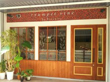 トランペットバイン 谷町6丁目(trumpetvine)