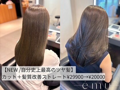 エミュ 伏見 国際センター(emu)の写真