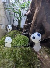 アルヴァ ルーチェ(ALVA luce) ALVA luce