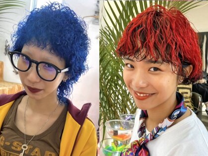 フィン(fin,)の写真