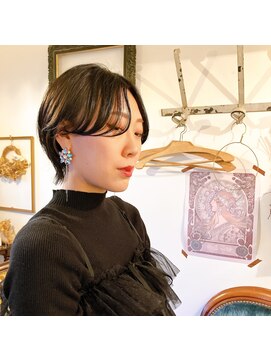 ノーマン(Norman) ハンサムショート