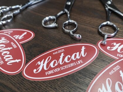 ホットキャット(HOT CAT)の写真