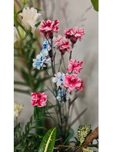 アットホーム(@home)&nbsp;玉城 まいこ