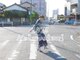 ニキータ(Nikiita)の写真