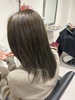 ガーベラ(gerbera) オリーブカラー