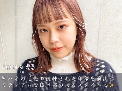ノウェム バイ シーラス(novem by cirrus)の写真