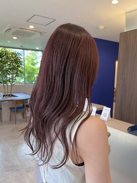 クアトロアネックス(QUATTRO annex) ボルドーカラー