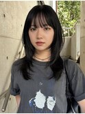 レイヤーカットブルーブラックハッシュカット