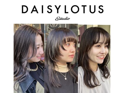 デイジーロータス(DAISYLOTUS)の写真