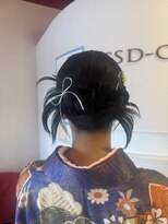 パズードコー(PSSD-CO.+5) カチモリヘア シルバーリボン