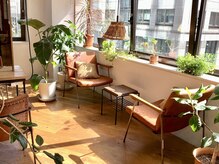 ノル(Knoll)の雰囲気（植物がたくさんの癒し空間♪少人数サロンでゆったり 銀座/東銀座）