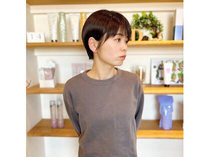 フェリスディーレ (Felice Deele)の写真