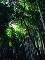 クラメールパリ 福岡(Kraemer Paris) 嵐山の竹林です。きれいでした。