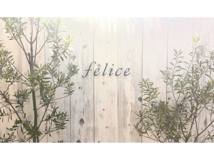 フェリーチェ(felice)の写真