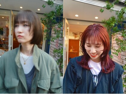 ヒツジ(hitsuji)の写真